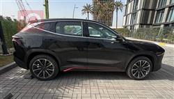 جيتور داشينج